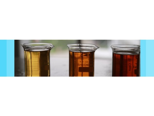 專利獎(jiǎng)巡禮|安琪酵母蛋白胨獲第二十屆中國(guó)專利優(yōu)秀獎(jiǎng)