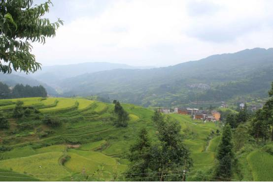 企業微信截圖_16203751233064