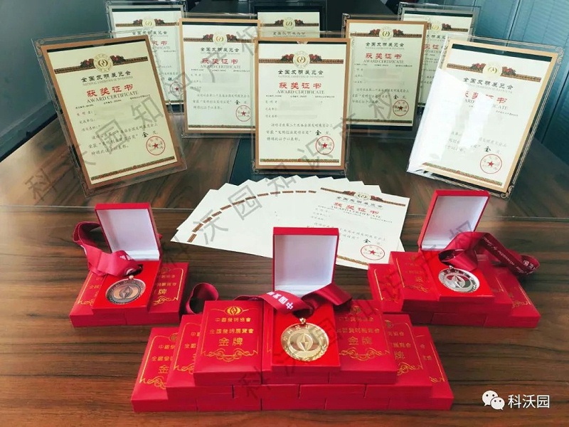 項(xiàng)目獎(jiǎng)證書(shū)