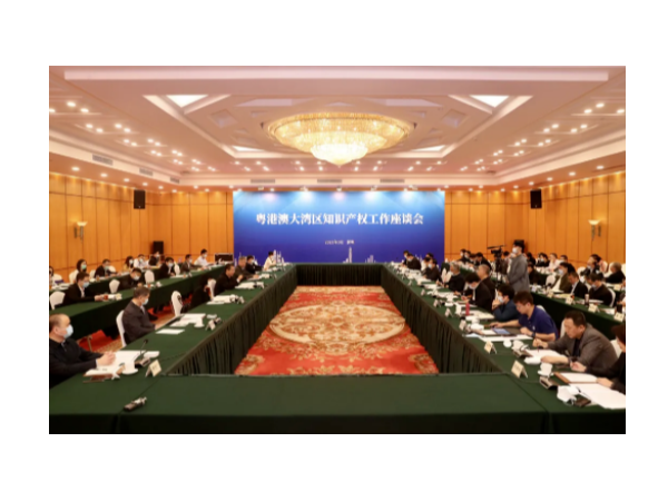 粵港澳大灣區知識產權工作座談會召開