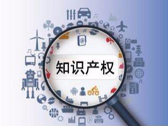 知識產權保護，助力小型企業發展